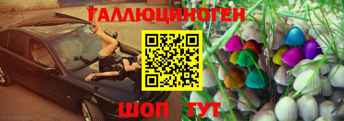 Псилоцибиновые грибы Magic Shrooms  Псилоцибиновые грибы Cubensis  Вход с VPN  Владикавказ 